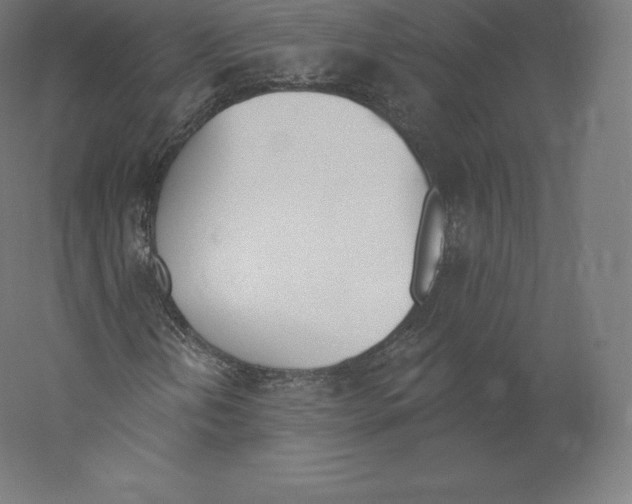 X0000060271202200511241445