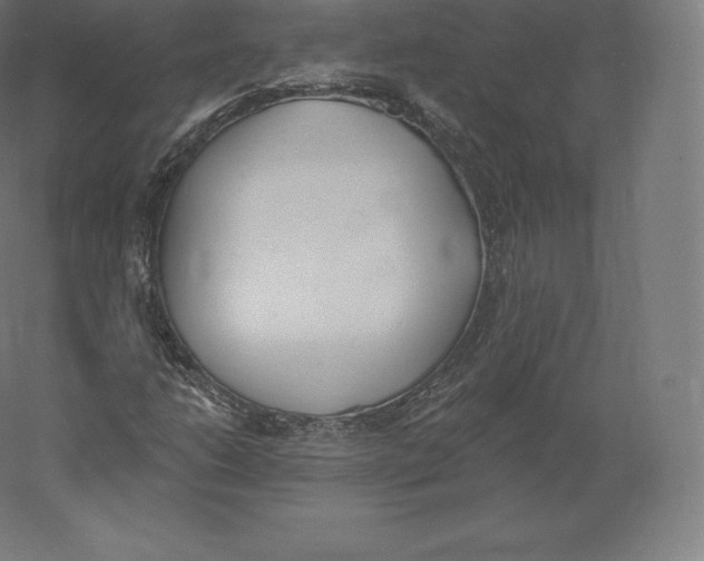 X0000060271206200511241445