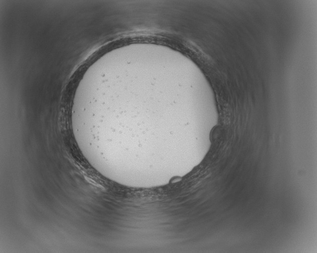 X0000060271208200511241445