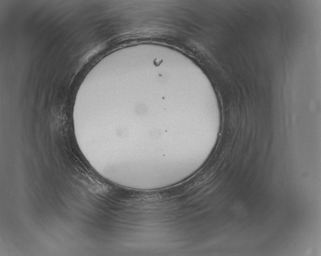 X0000060271210200511241445