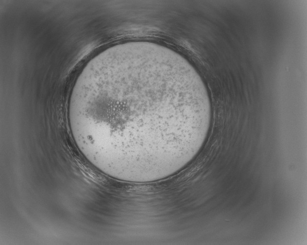 X0000060271211200511241445