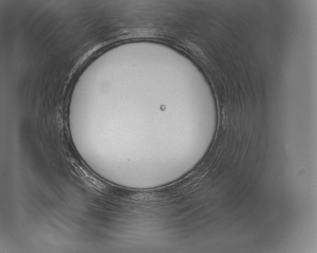 X0000060271212200511241445