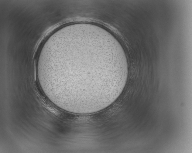 X0000060271223200511241445