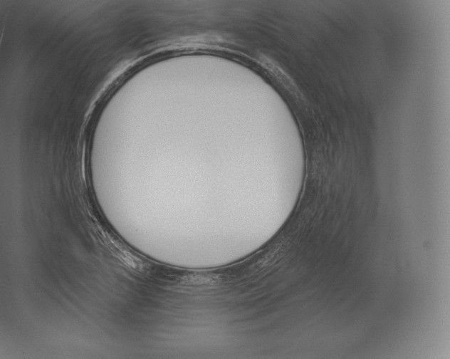 X0000060271224200511241445