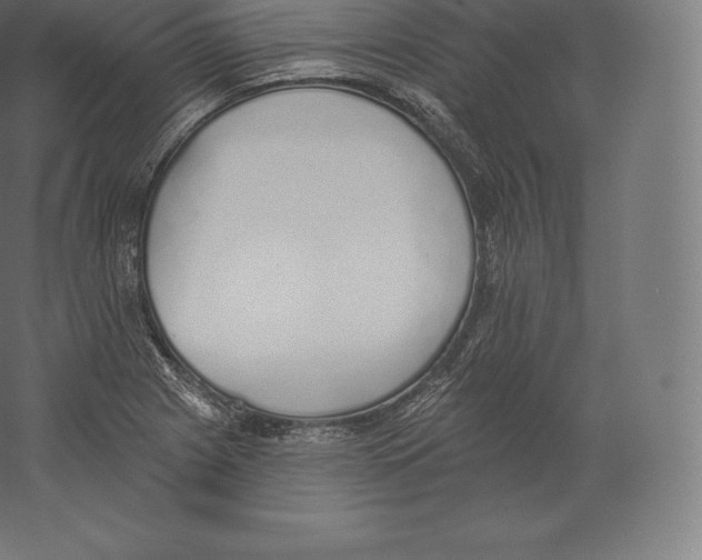 X0000060271225200511241445