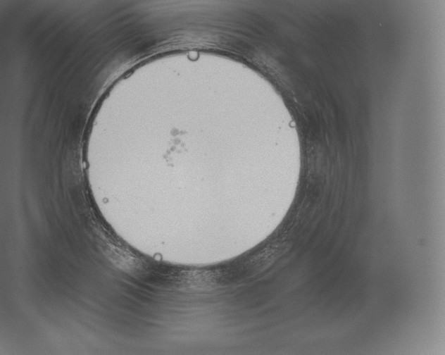 X0000060271226200511241445