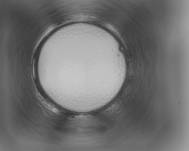 X0000060271227200511241445