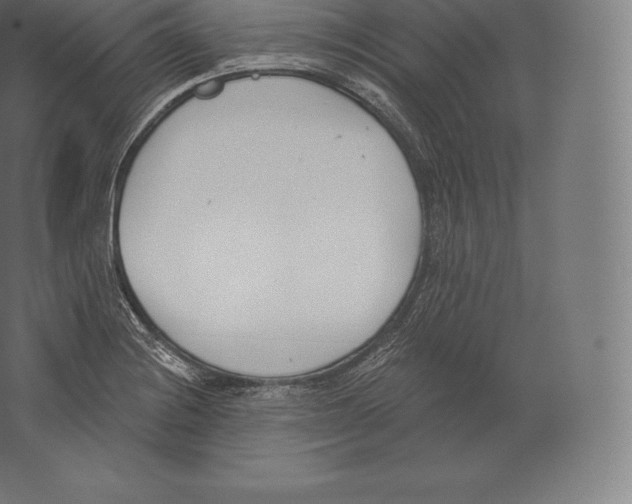 X0000060271228200511241445