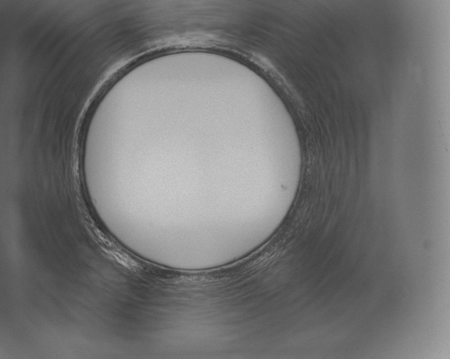 X0000060271232200511241445