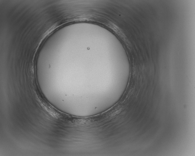 X0000060271234200511241446