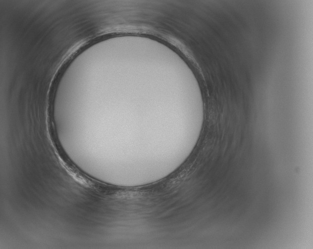 X0000060271237200511241446