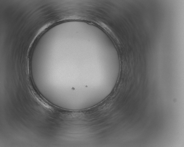 X0000060271238200511241446