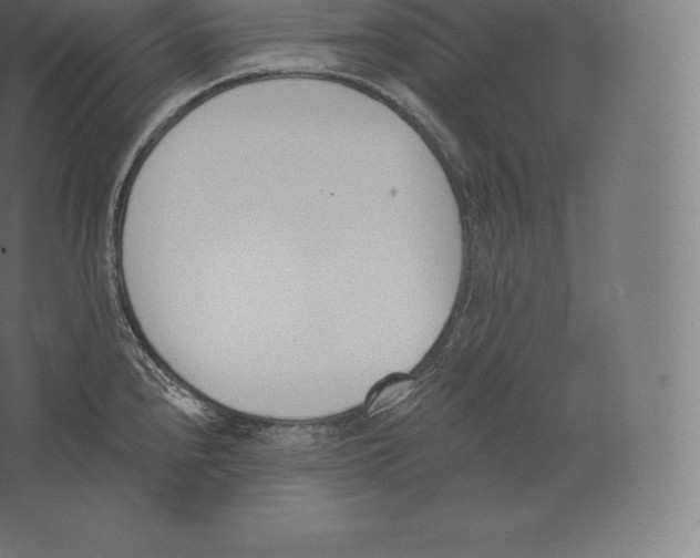 X0000060271240200511241446