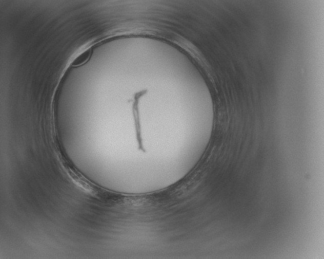 X0000060271242200511241446