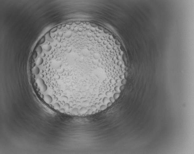 X0000060271243200511241446