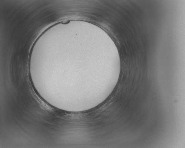 X0000060271244200511241446