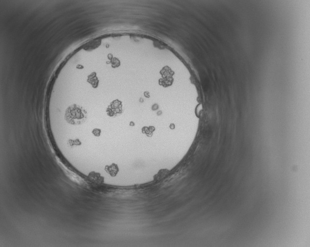 X0000060271245200511241446