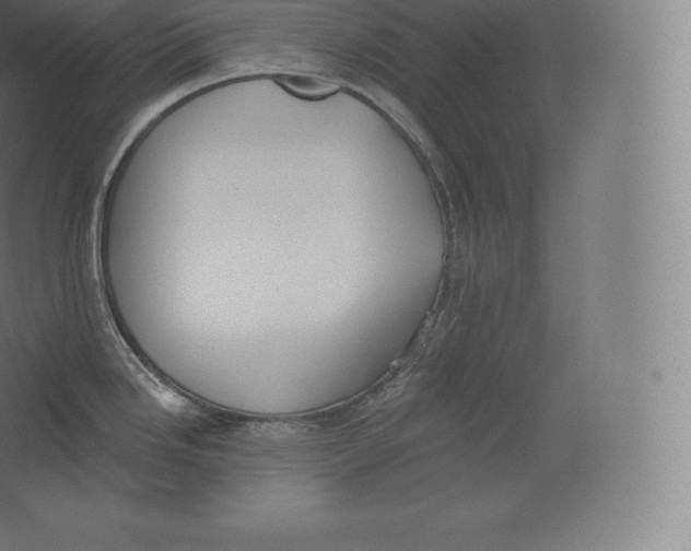 X0000060271246200511241446