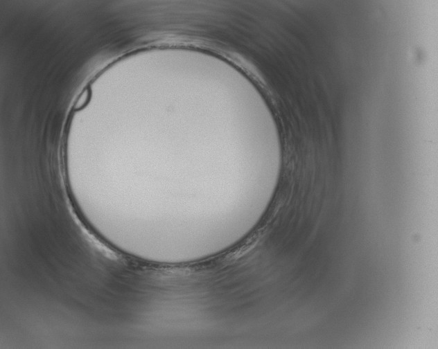 X0000060271247200511241446