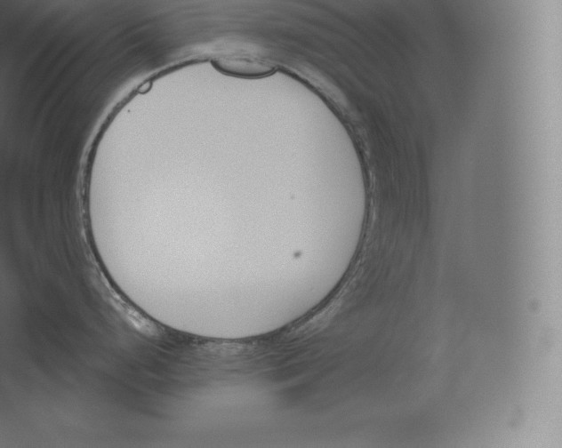 X0000060271248200511241446