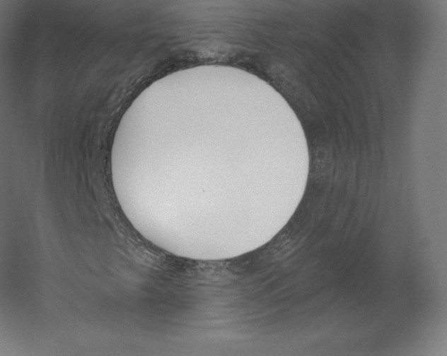 X0000060271249200511241445