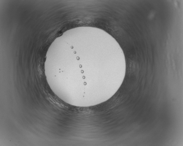 X0000060271250200511241445