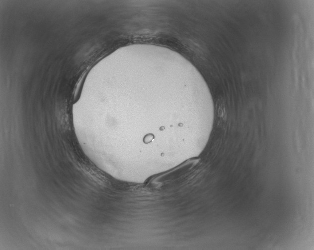 X0000060271252200511241445