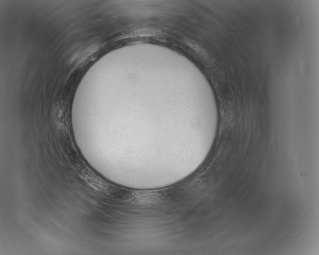 X0000060271258200511241445