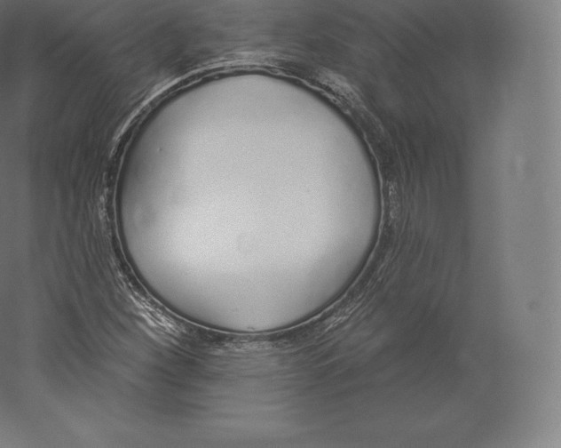 X0000060271260200511241445