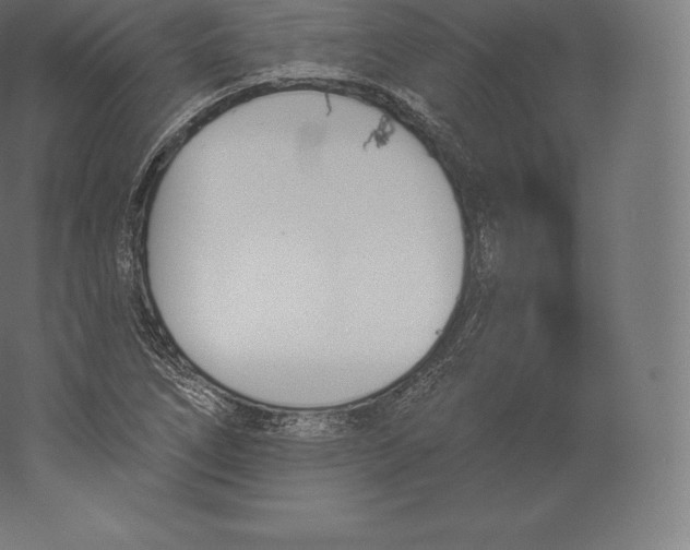 X0000060271266200511241445