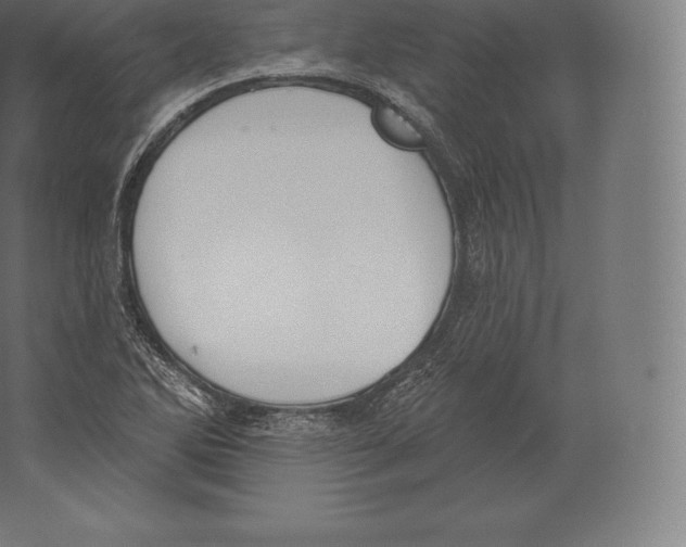 X0000060271270200511241445