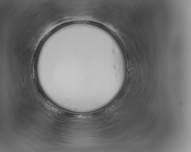 X0000060271271200511241445