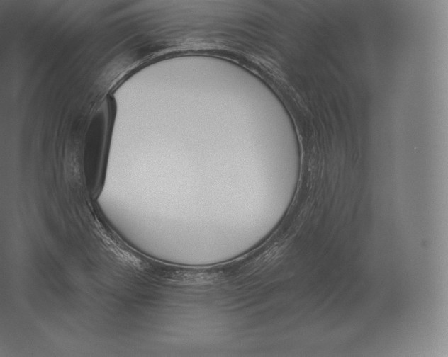 X0000060271273200511241444