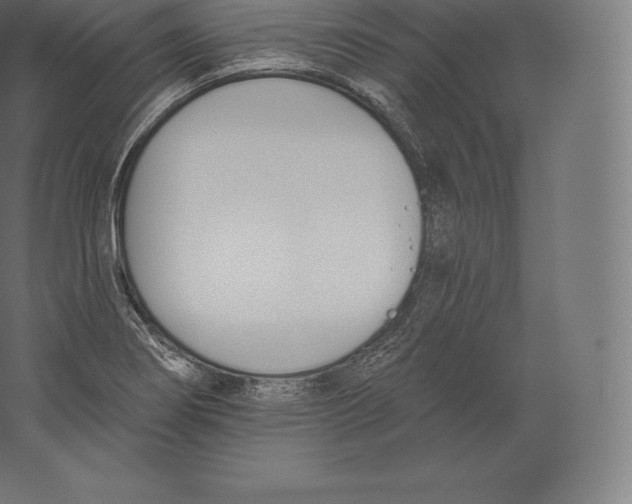 X0000060271274200511241444