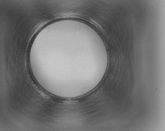 X0000060271277200511241444