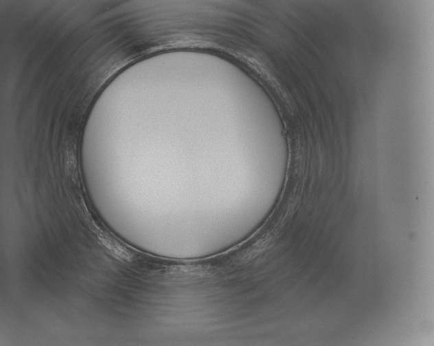 X0000060271281200511241444