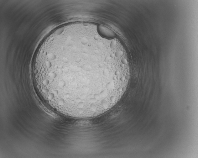 X0000060271283200511241444