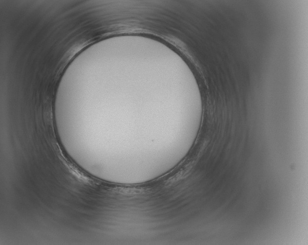 X0000060271289200511241444