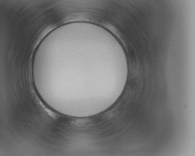 X0000060271290200511241444