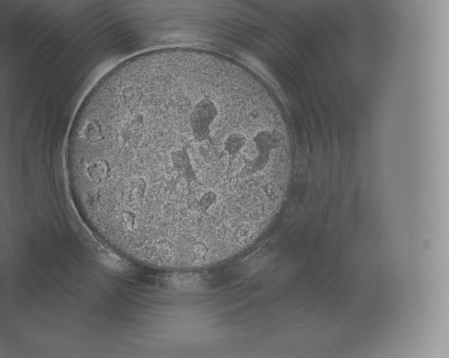 X0000060271291200511241444