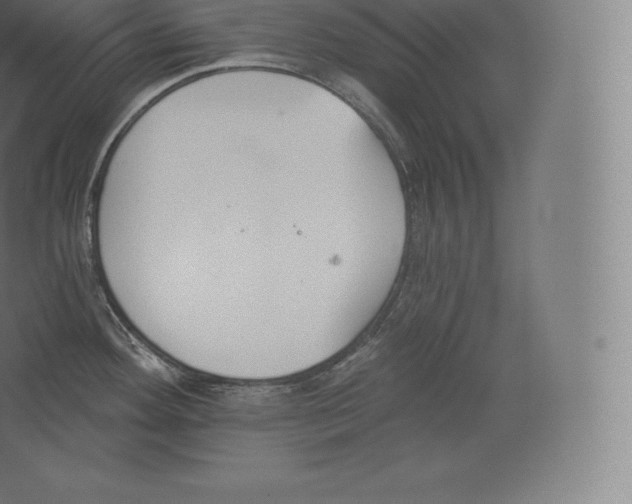 X0000060271292200511241444