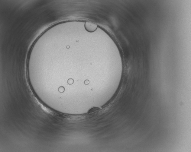 X0000060271294200511241444