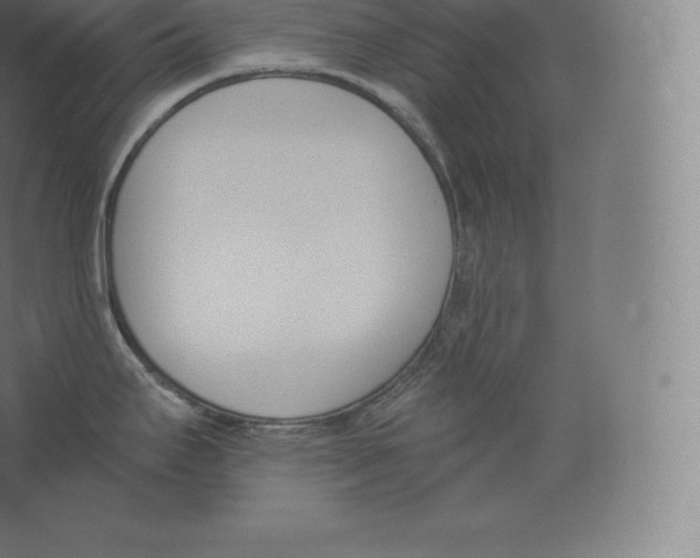 X0000060271295200511241444