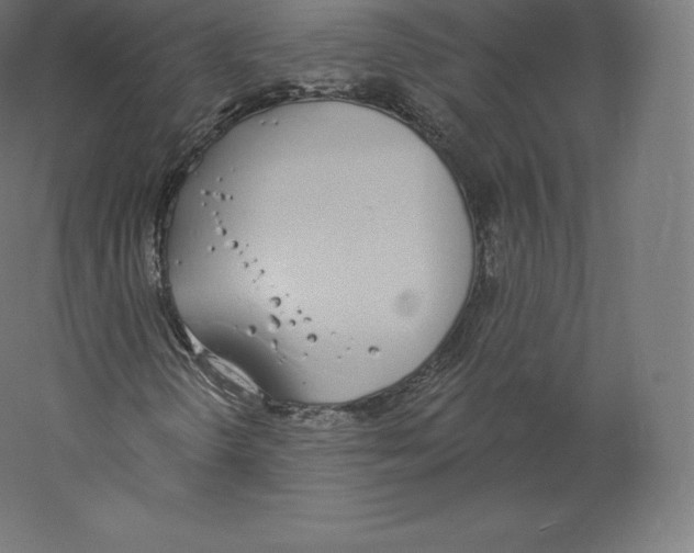 X0000060271298200511241443