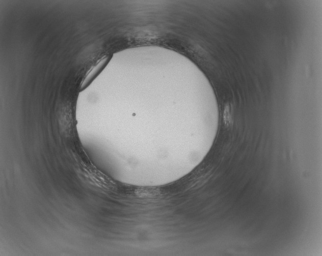 X0000060271299200511241443