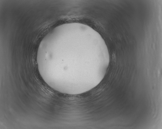 X0000060271300200511241443