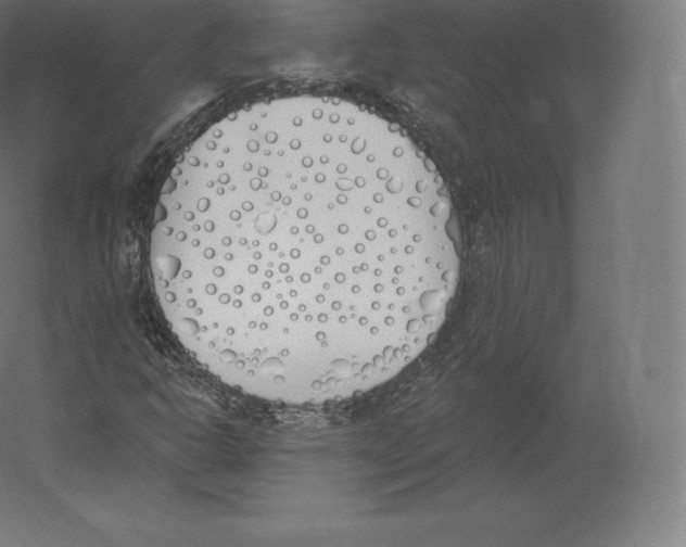 X0000060271302200511241443