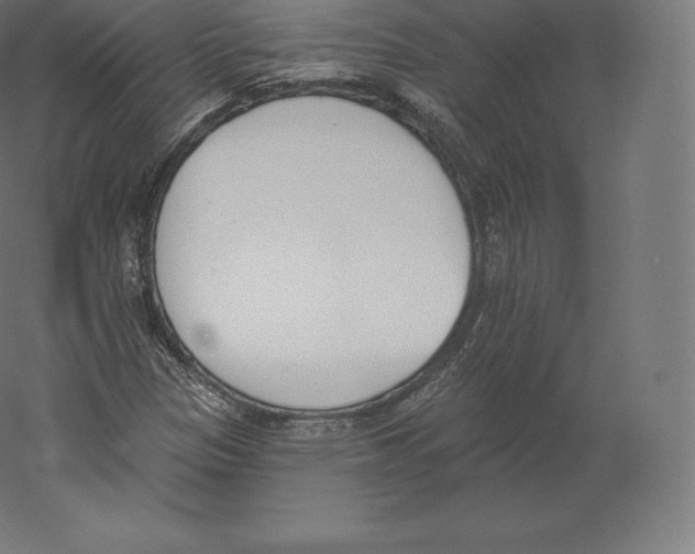 X0000060271305200511241443