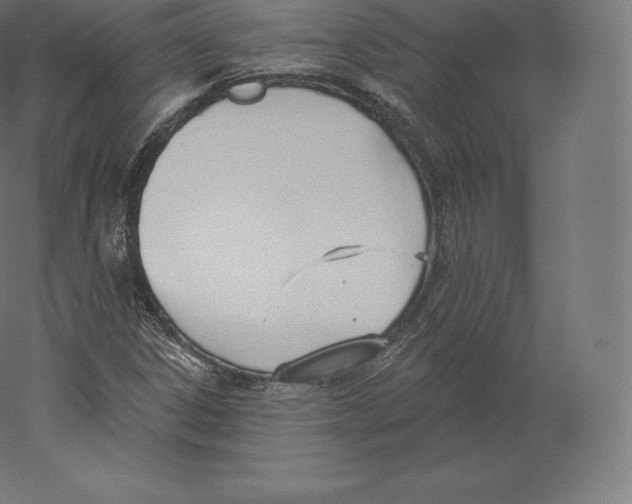 X0000060271306200511241443