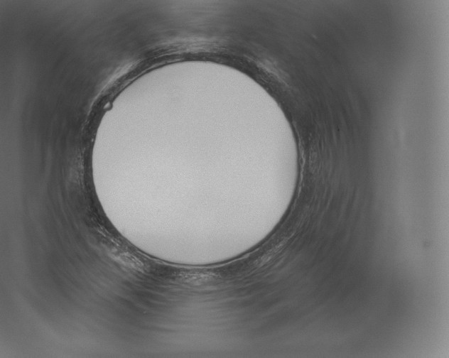 X0000060271309200511241443